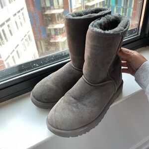 Grey Uggs